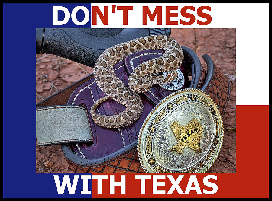 Dont Mess With Texas Flag Photograph by JC Findley