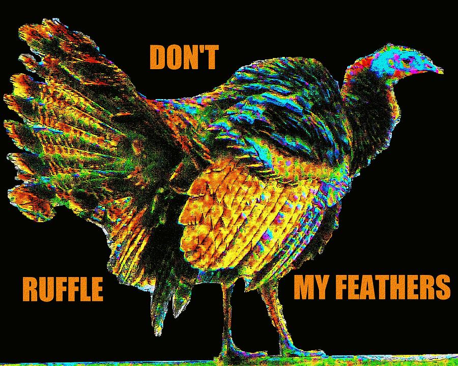 Any feathers ruffle Urban Dictionary: