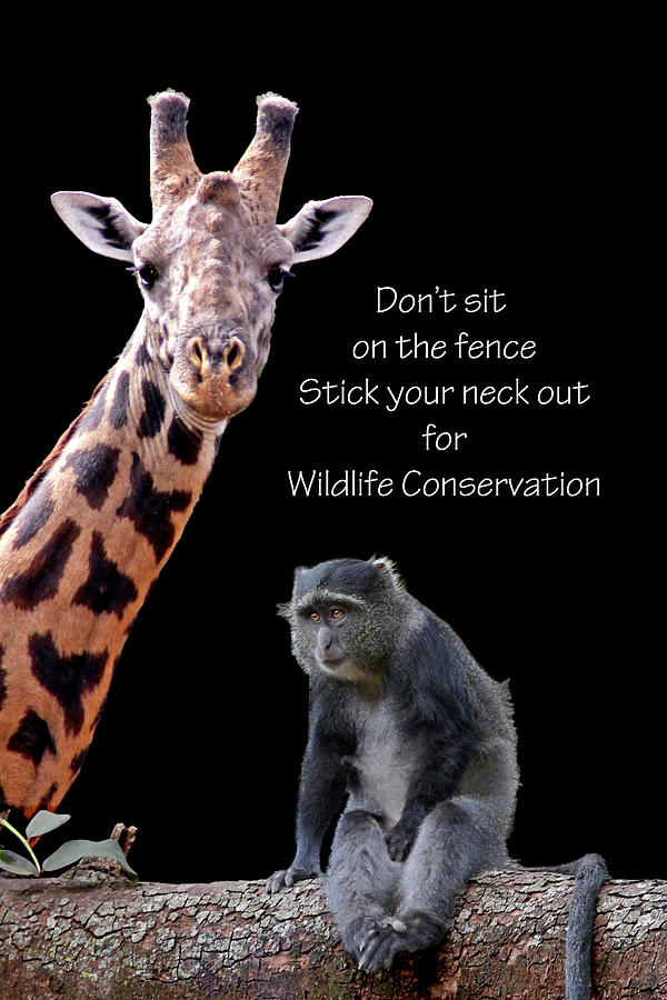 Dont Sit On the Fence - Stick Your Neck Out For Wildlife Conservation Photograph by Gill Billington