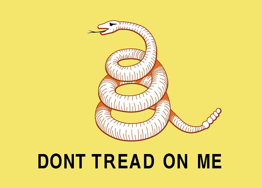 Snake Painting - Dont Tread On Me by American School