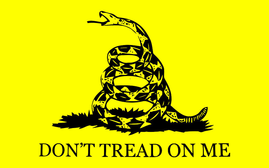 Flag Mixed Media - Dont Tread On Me Flag by War Is Hell Store