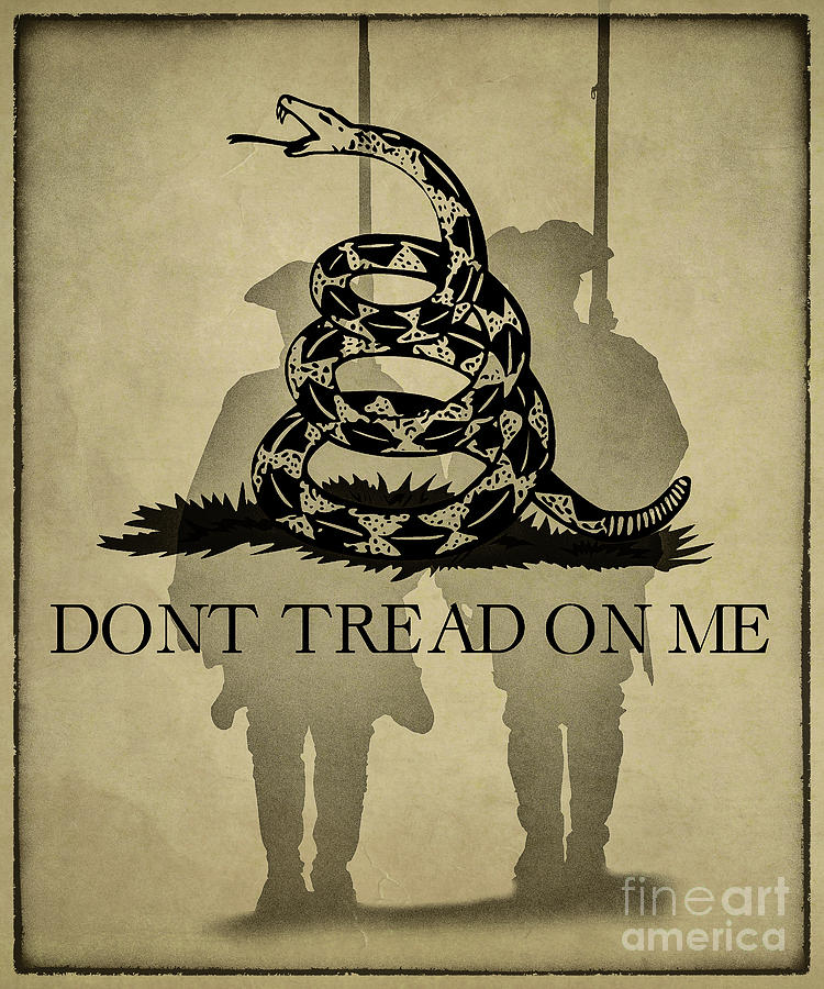 Dont Tread on Me   Rattlesnake Flag Digital Art by Randy Steele