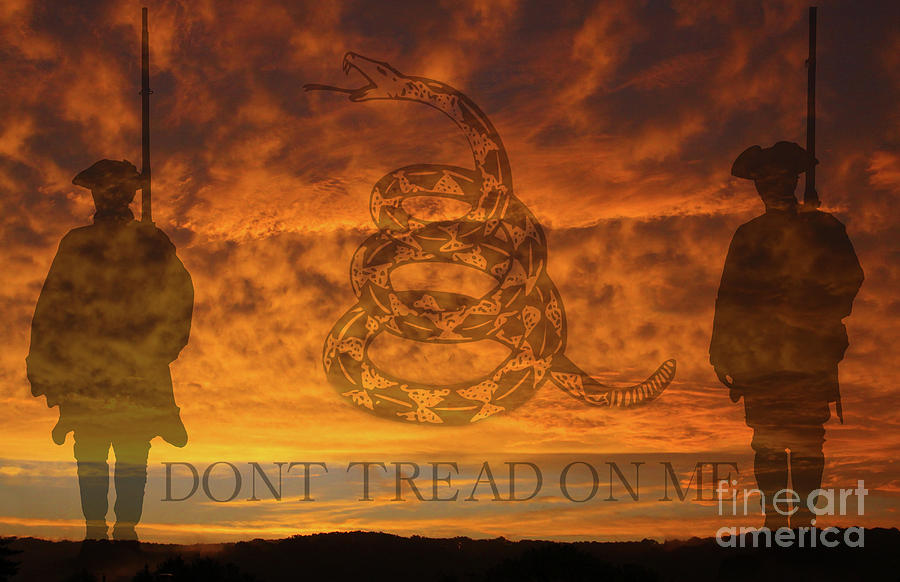 Dont Tread on Me Sunset Digital Art by Randy Steele