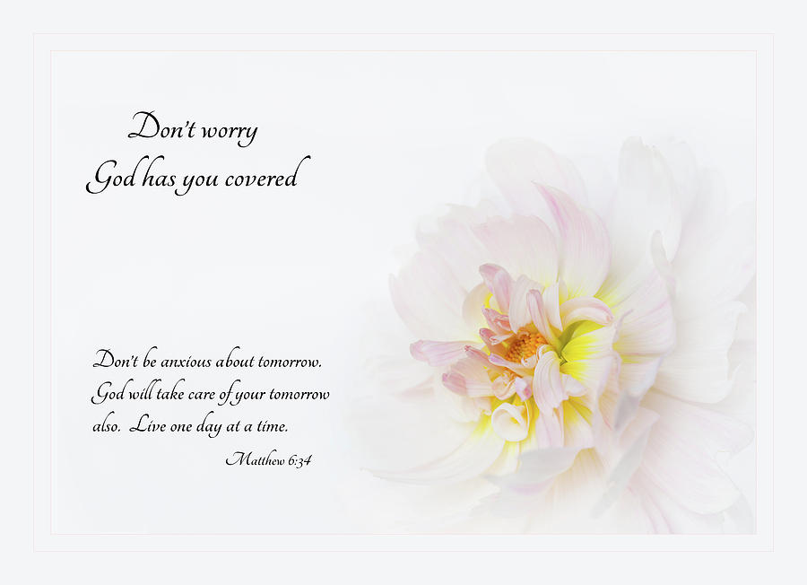 Don't Worry with Verse by Mary Jo Allen Don't Worry with Verse by Mary Jo Allen