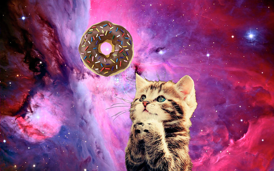 Cat Digital Art - Donut Praying Cat by Johnnie Art