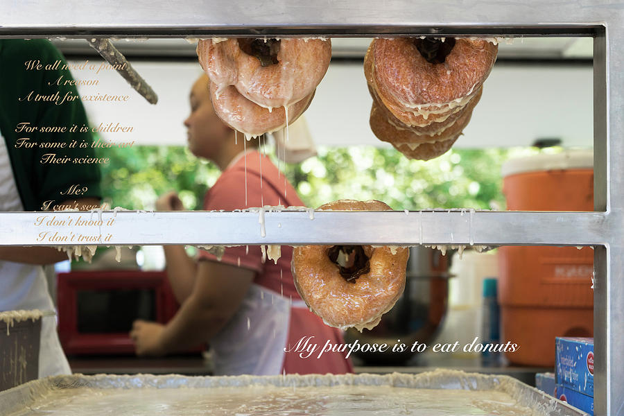 Donut Purpose Photograph by Sharon Popek
