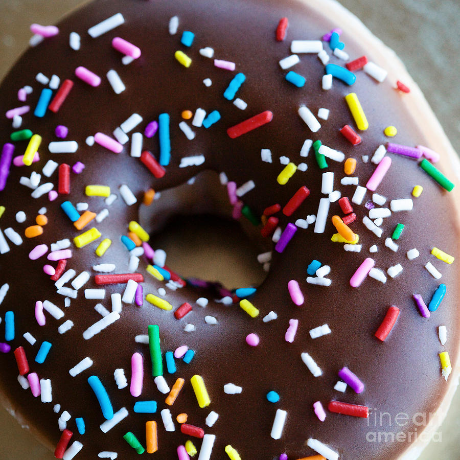 Donut Photograph - Donut with Sprinkles by Kim Fearheiley