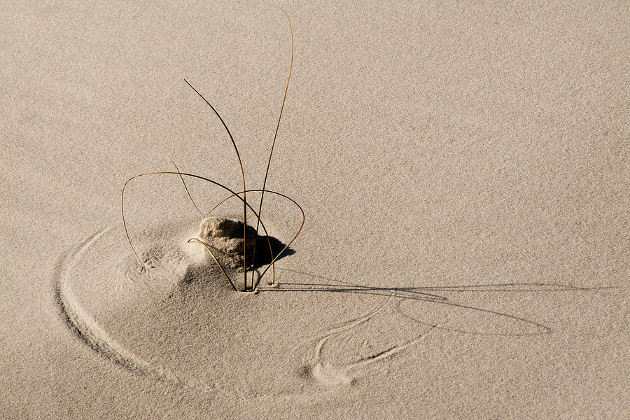 Doodles In The Sand Photograph by Richard Payson - Fine Art America