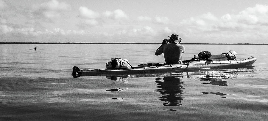 Dooley Photographing Dolphin Photograph by Cary Leppert - Fine Art America