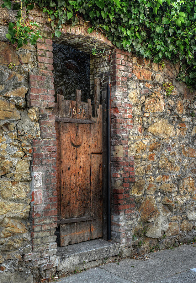 Door 1635 Photograph by Michael Kirk
