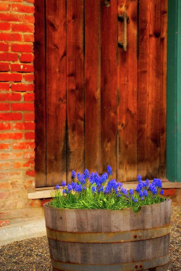 Door And Flowers Photograph by Craig Perry-Ollila