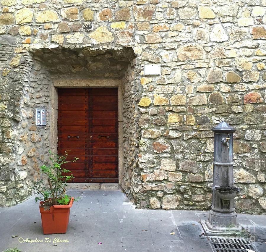 Door and Fountain  in Anzio Italy Photograph by Italian Art