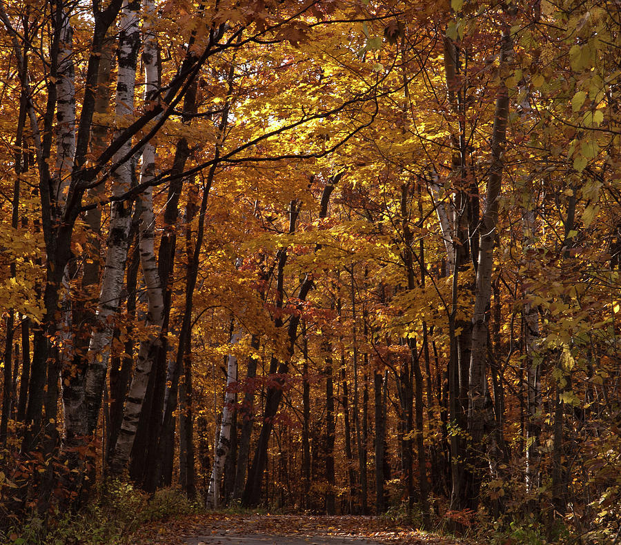 Door County No 1 Photograph By M Bubba Blume