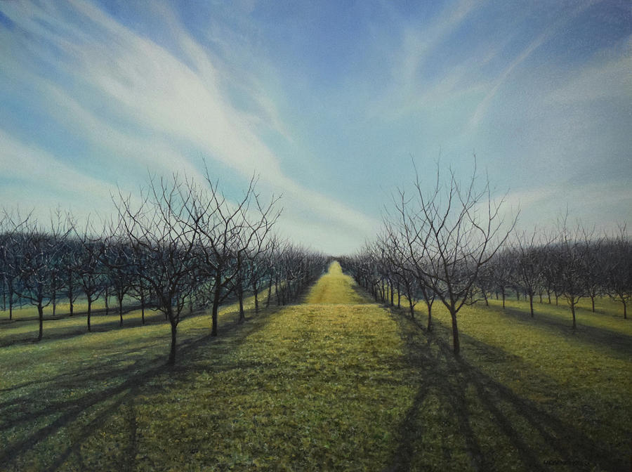 Door County Spring Orchard Painting By Steve Langenecker