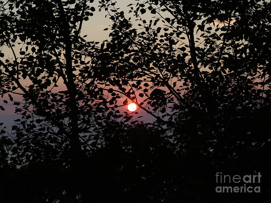 Sunset Photograph - Door County Sunset by Ann Horn