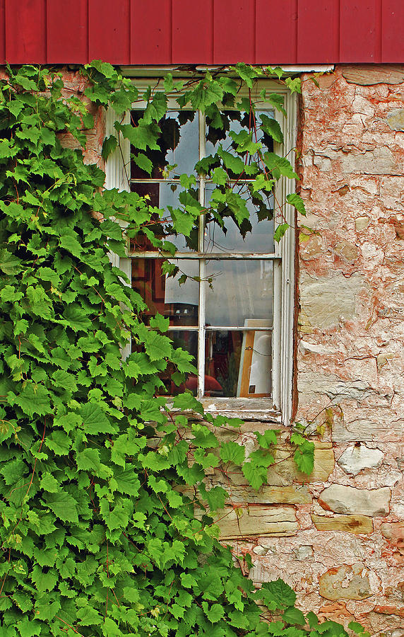 Door County Window Photograph by Ira Marcus