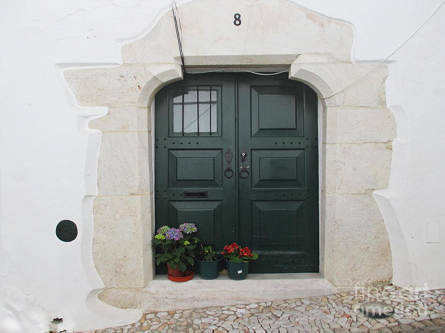 Door in Estremoz Photograph by Chani Demuijlder