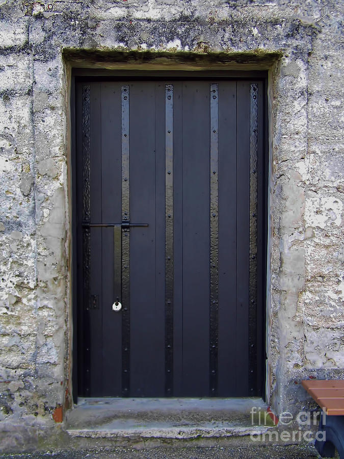 Door In The Fort Photograph by D Hackett