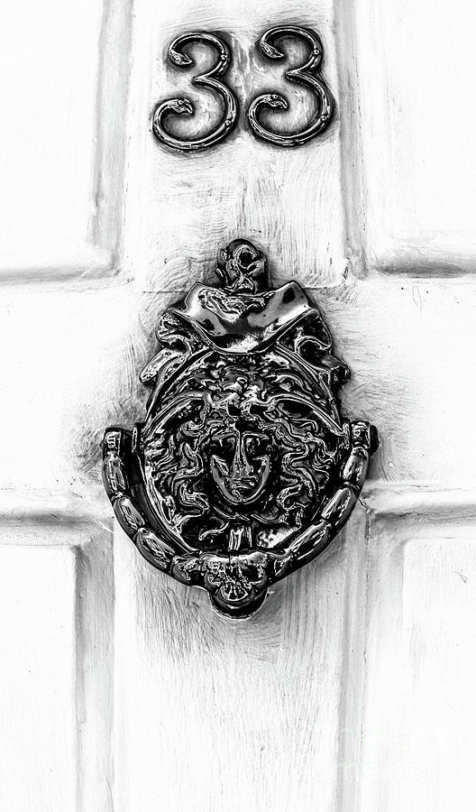 Door Knockers of Charleston Photograph by Dale Powell