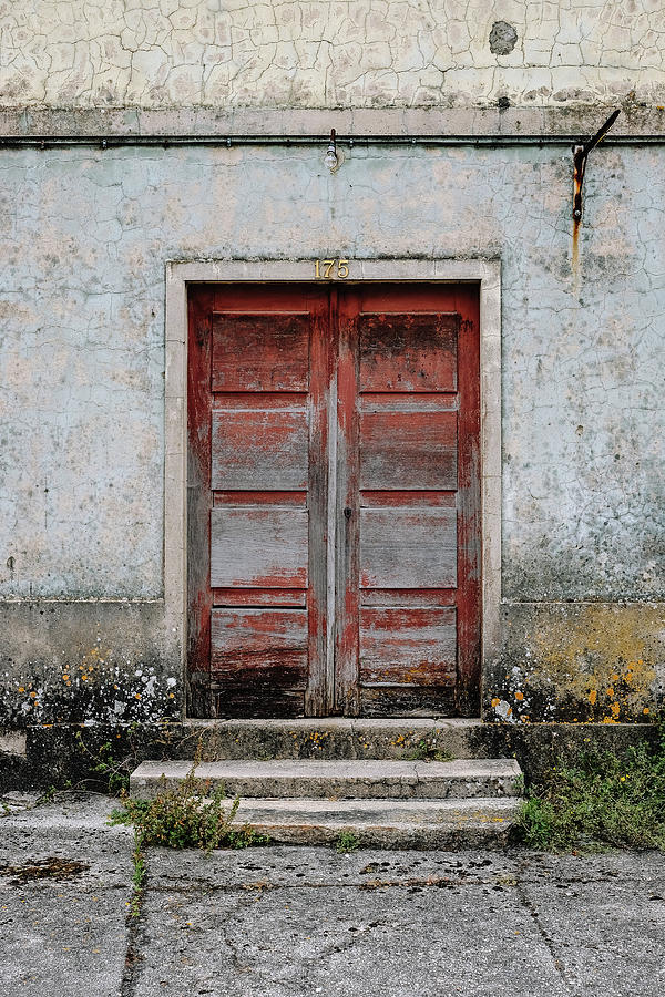 Door No 175 Photograph by Marco Oliveira