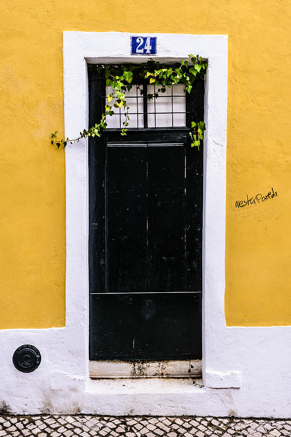 Door No 24 Photograph by Marco Oliveira