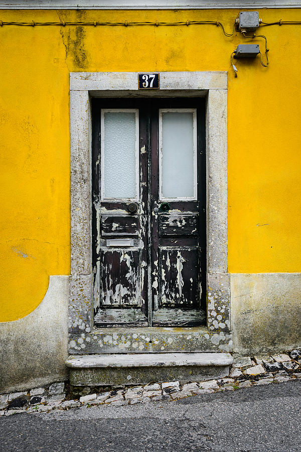 Door No 37 Photograph by Marco Oliveira
