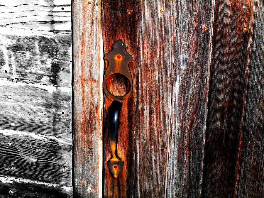 Door to the Past Photograph by Julie Hamilton