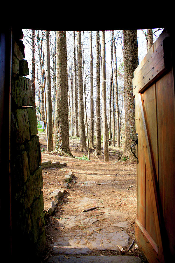 Nature Photograph - Door to the World by Selena Lorraine