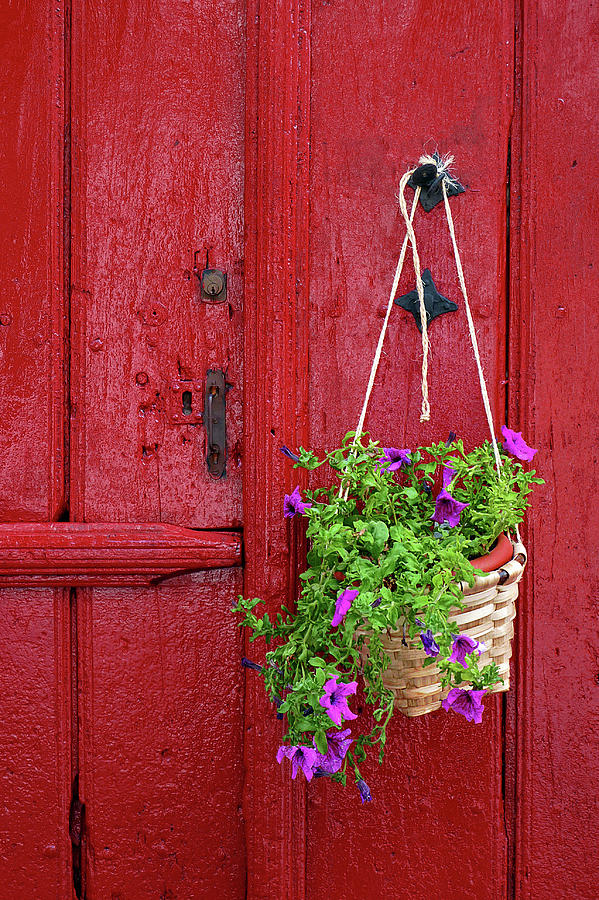 Door with flowers Photograph by Mikel Martinez de Osaba
