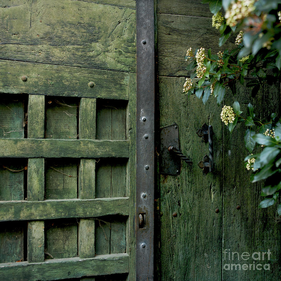 Flower Photograph - Door with padlock by Bernard Jaubert