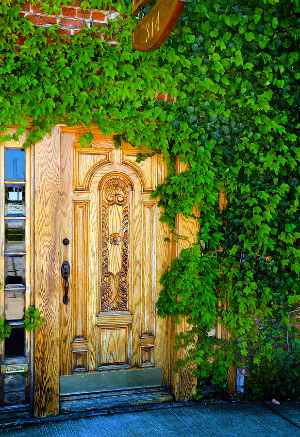 Door with Vines Photograph by Scot Kavanaugh | Fine Art America