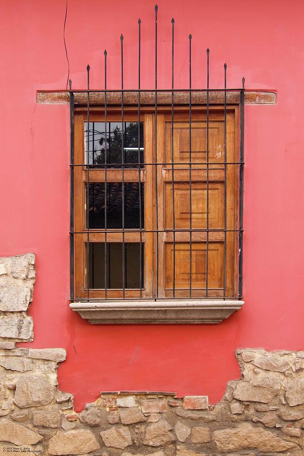 Doors And Windows Of Comayagya - 6 Photograph by Hany J