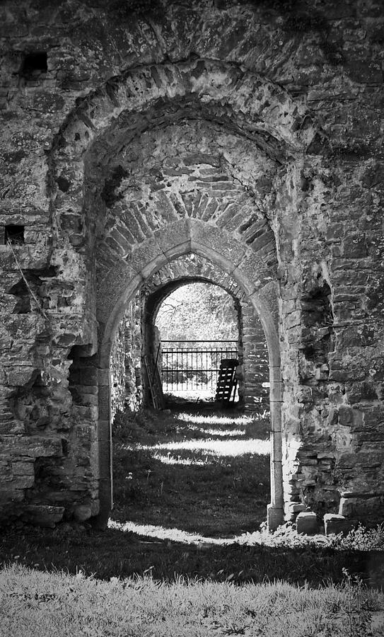 Irish Photograph - Doors at Ballybeg Priory in Buttevant Ireland by Teresa Mucha