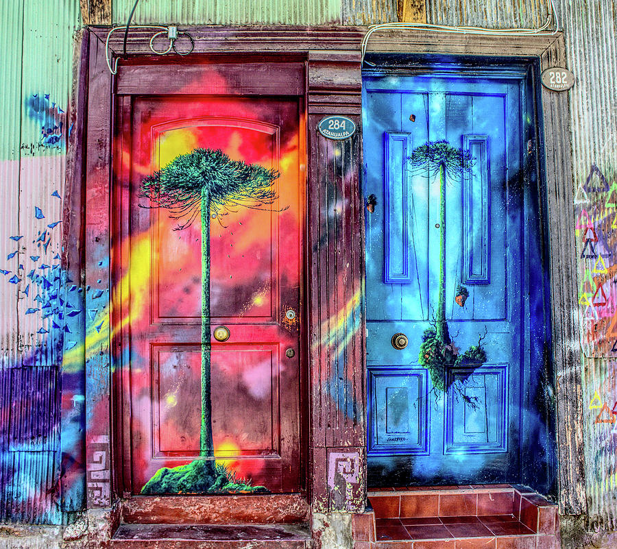 Doors Digital Art by Fabio Caroli - Fine Art America