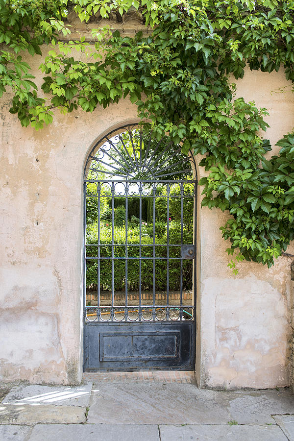 Doors - Garden Gate Photograph by Jon Berghoff - Fine Art America