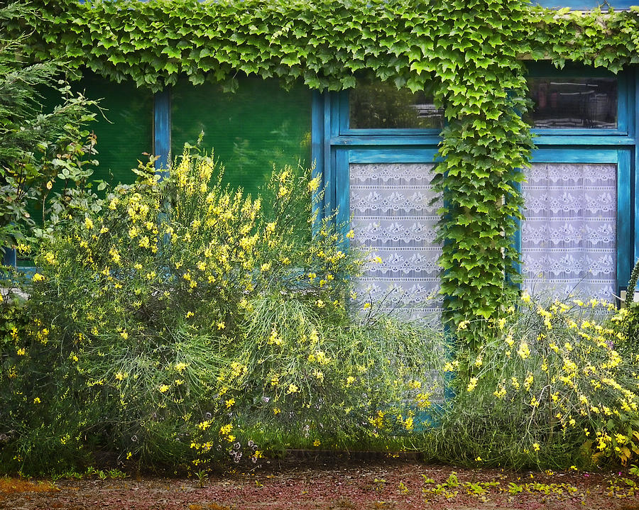 Doors - Windows - Brittany - France Photograph by Nikolyn McDonald