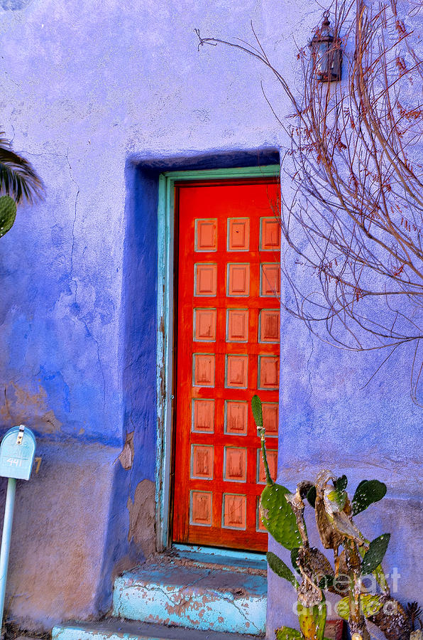 Tucson Photograph - Doorway 6 by Larry White