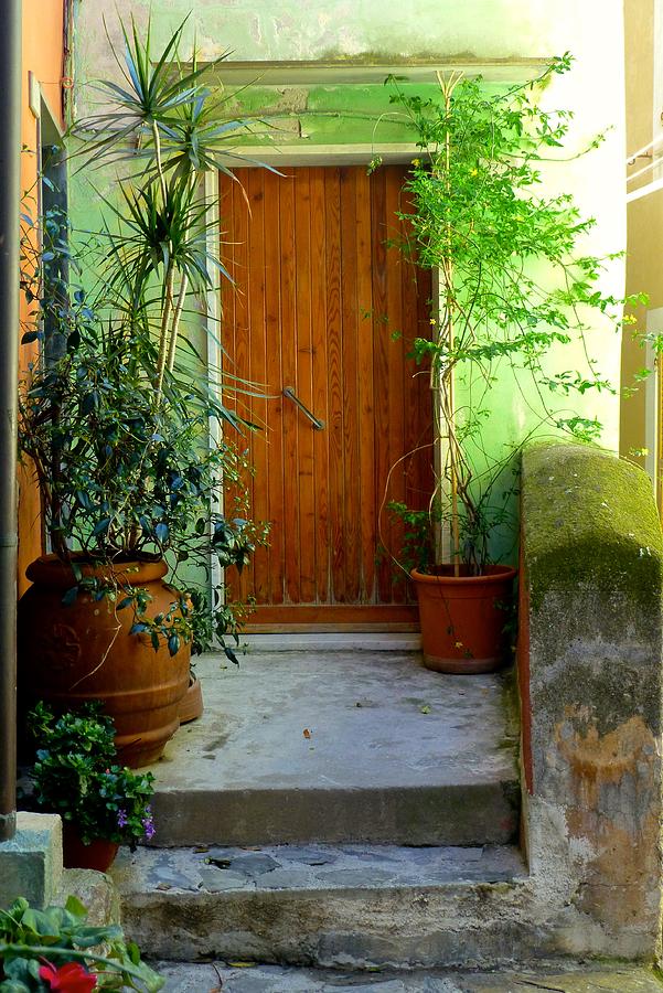 Doorway In Vernazza Photograph by Amelia Racca