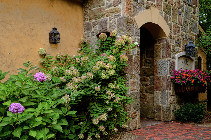 Doorway with Flowers Photograph by Ann Bridges