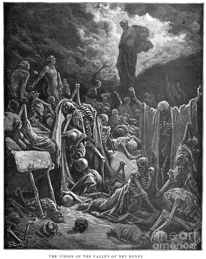 Valley Of Dry Bones Drawing By Gustave Dore Fine Art America
