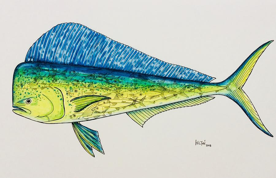 Dorado Fish - You Are What You Eat  Pastel by Graham Wallwork