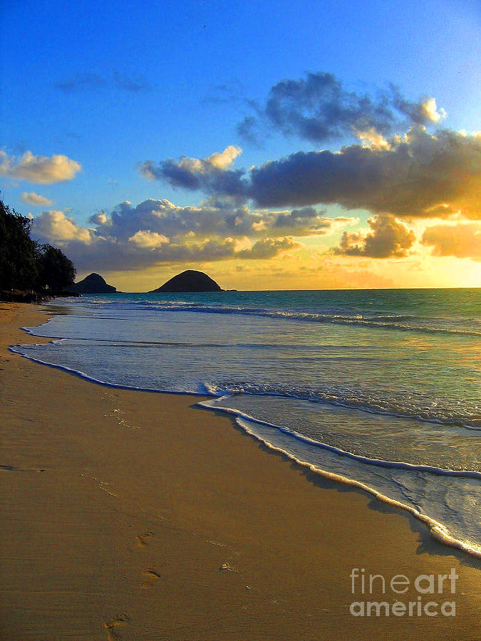 Doran Beach Photograph By Marta Robin Gaughen