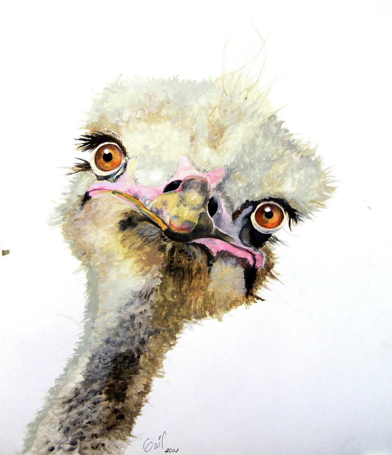 Ostrich Painting - Doris by Katharine Schafer