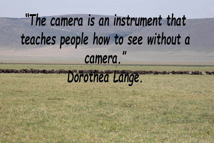 Dorothea Lange Quote Photograph by Tony Murtagh
