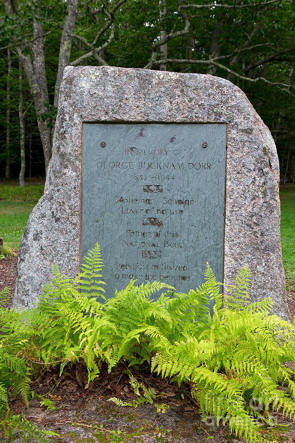 Dorr Monument Acadia National Park Photograph By Jason O Watson - Fine ...