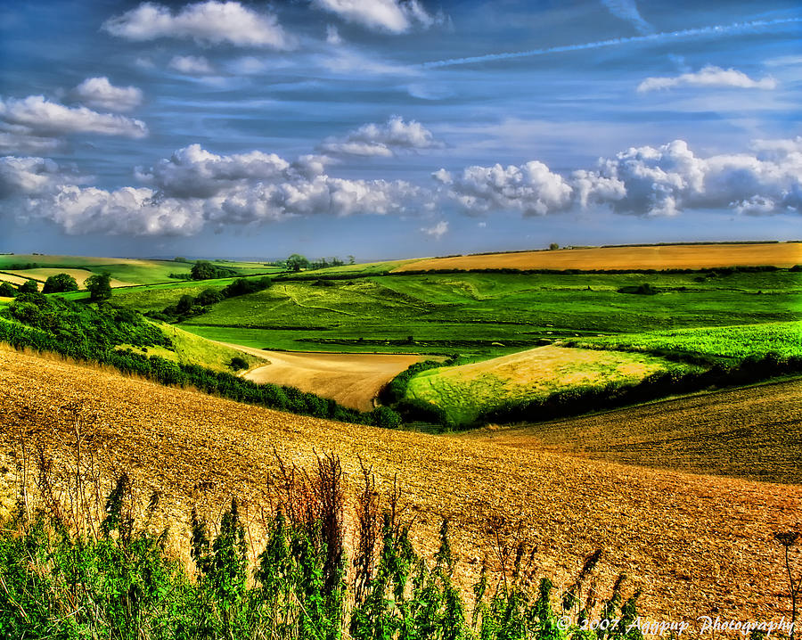 Dorset Farmland Photograph by David J Knight - Fine Art America