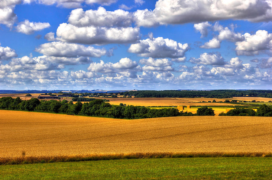 Fields Photograph - Dorset fields in late July by Peggy Berger Fields Photograph - Dorset fields in late July by Peggy Berger