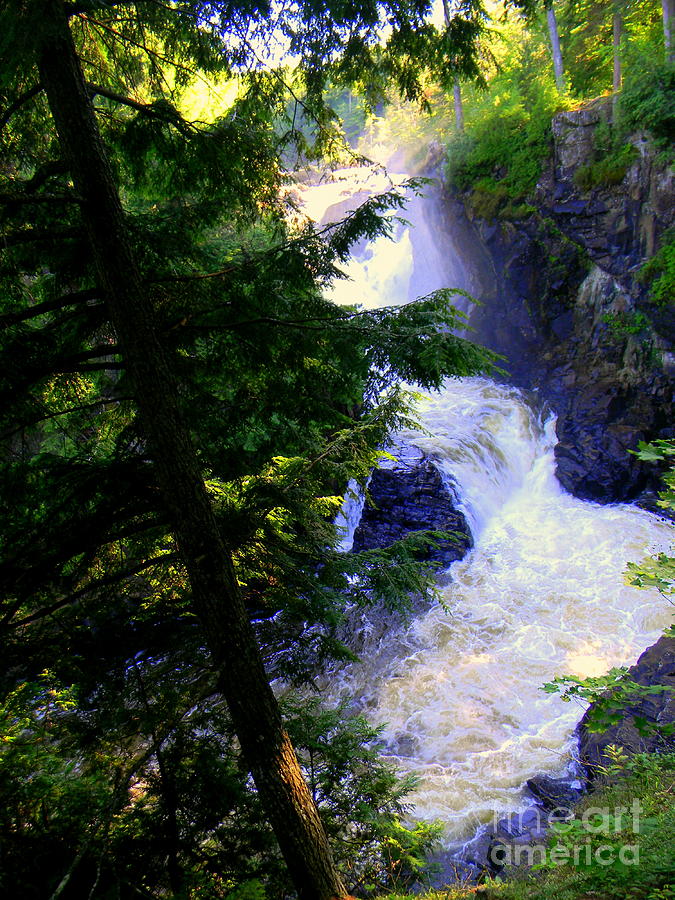 Dorwin Falls Photograph by Elfriede Fulda