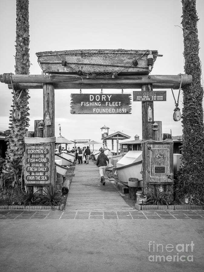 Dory Fishing Fleet Picture In Newport Beach California Photograph