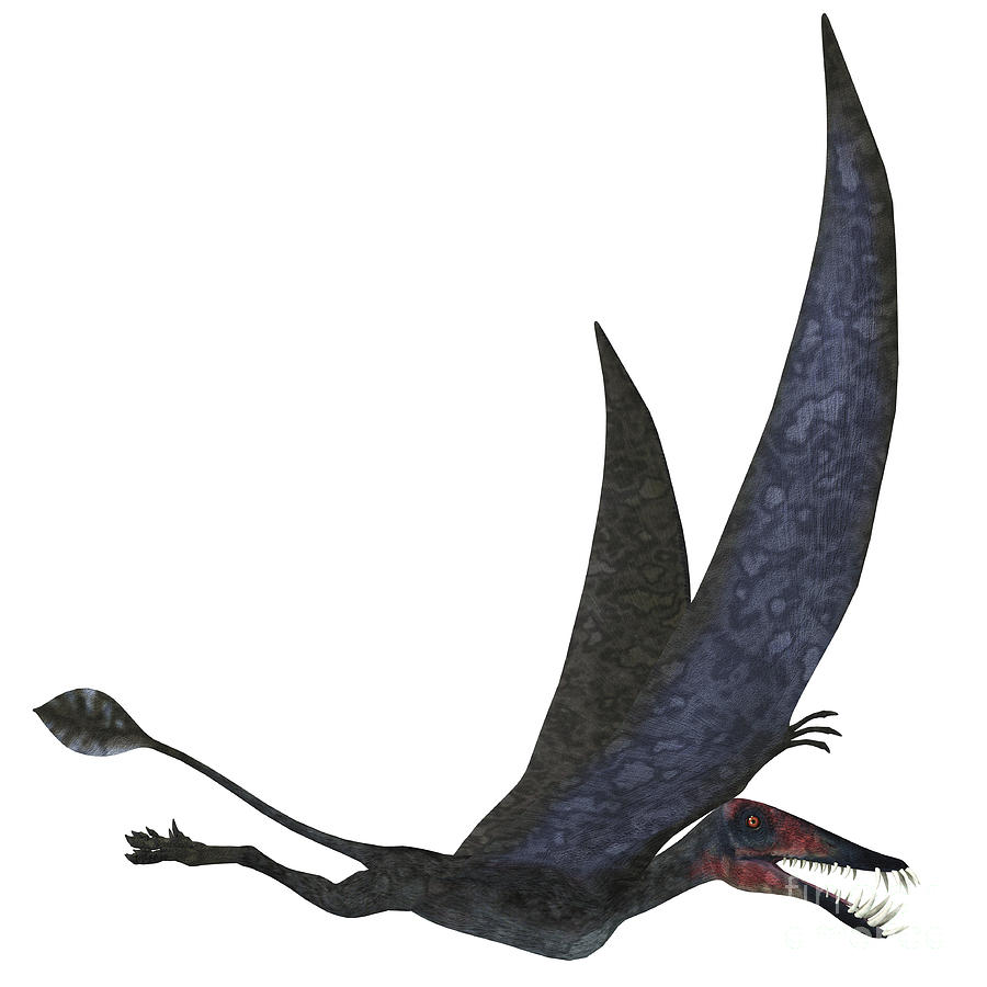 Dorygnathus Pterosaur From The Jurassic Digital Art